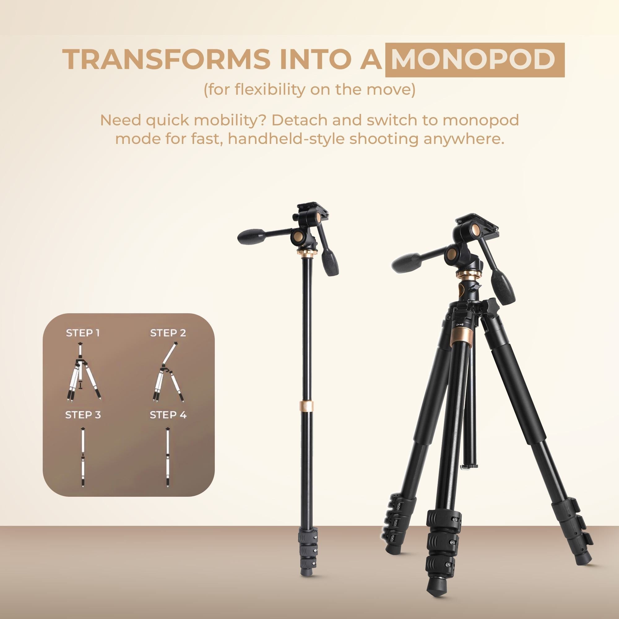 Digitek (DTR 620 BH) 6ft Multi-Angle DV Tripod cum Monopod