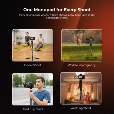 Digitek Platinum (DPMP 170) Portable Camera Monopod